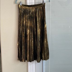 Long pleated zara skirt